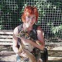 ���� �����, ������, 58 ��� - ��������� 9 ������ 2026