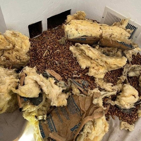 ���������� ������ ������� �� ��������� ��-�� ���� � ����� ����. ���������, ��� ������ �� ���������, ... - 3