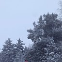 ���� �����, ���������, 33 ���� - ��������� 14 ������ 2025