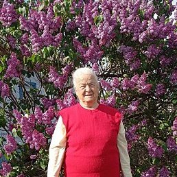 �����, ���������, 85 ���