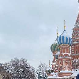 �����, ����, 43 ����