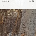 ���� �������, ������, 64 ���� - ��������� 16 ������ 2025 � ������ ���� ����������
