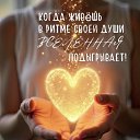 ���� ������, ����������������� - ��������� 2 ���� 2026 � ������ ������ ��������