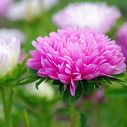 Татьяна, 18 лет, Челябинск Татьяна, 18 лет, Челябинск