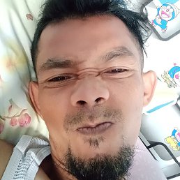 Danker, ��������, 41 ���