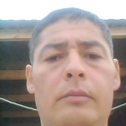 ������, ������, 49 ���