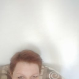 ���� �������, ����-�����������, 62 ���� - ��������� 4 ������ 2024