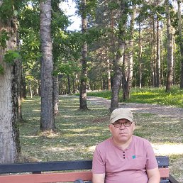 , 50 , 