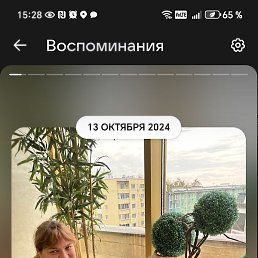 ����, �����, 38 ���