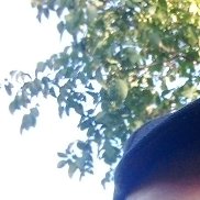 , 51 , 