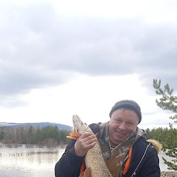 ������, 53 ����, ������������