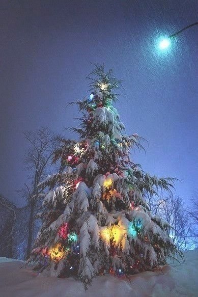 ����� � ������ - 20 ������� 2025 � 17:53