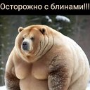 ���� ����, ��������� - ��������� 26 ������� 2025 � ������ ������ ��������