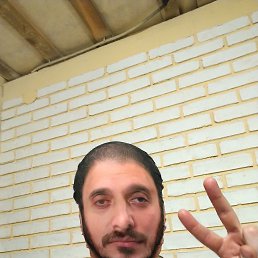 , 37, 