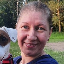 ��������, ������, 44 ����