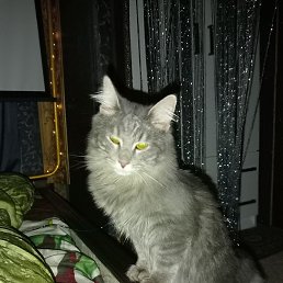 ������, ������, 45 ���