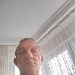 , 54 , 