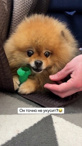    ,     !)