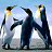 ���� ����, ������, 41 ��� - ��������� 5 ��� 2026