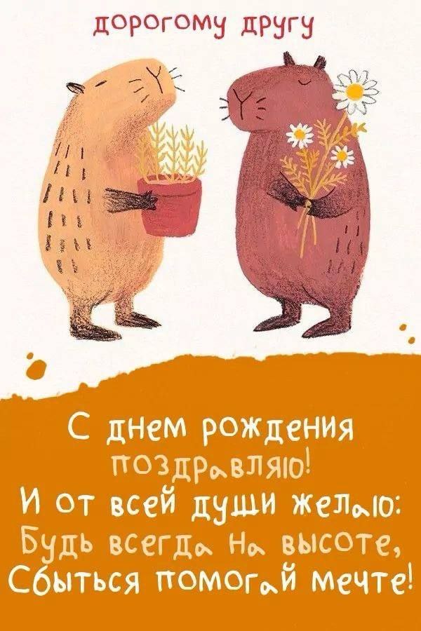   ,    . - 25  2025  11:12 - 3