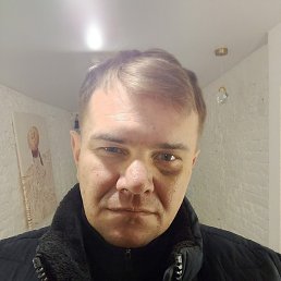 ����, �����-���������, 41 ���