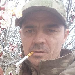 �������, ����, 39 ���