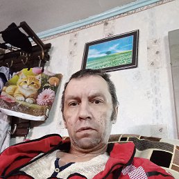 ��������, 46 ���, ����