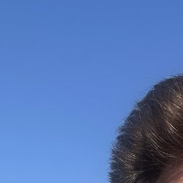 ����, �����, 48 ���