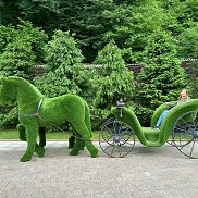 O����, 43 ����, ������