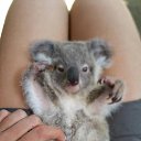 ���� �����, ������, 44 ���� - ��������� 17 ������ 2026