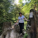 ���� �������, �����, 55 ��� - ��������� 2 ���� 2025 � ������ ���� ����������