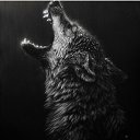 ���� ������, �����-���������, 26 ��� - ��������� 27 ���� 2026 � ������ ���� ����������