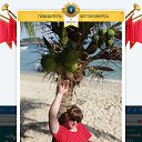    -  ,  -  13  2024   1 