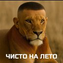 ����. ����