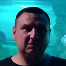 �����, ������, 36 ���