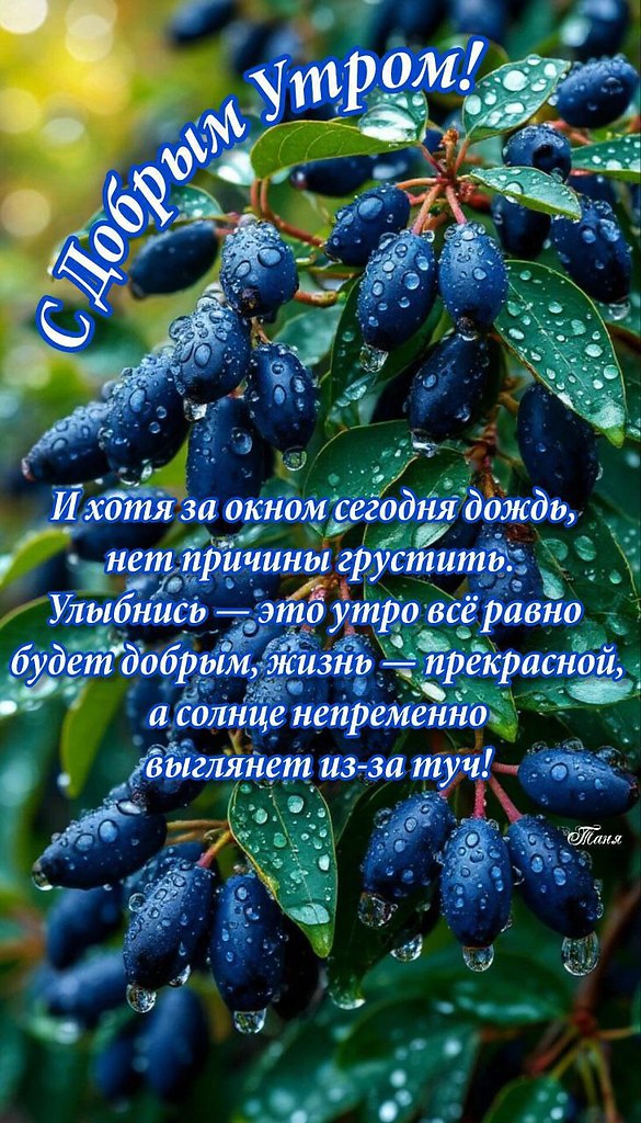   ,    . - 12  2025  08:09 - 5