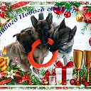 ���� ��������, ������� - ��������� 3 ������ 2024 � ������ ������ ��������