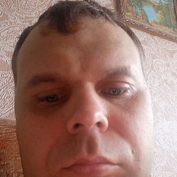 , 37, 