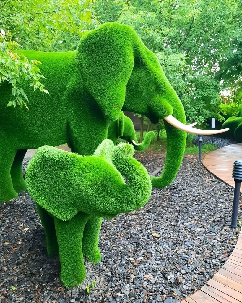 ���� ����� � ��� ��������� ���������� �������������� ������� � ������������ � ������ ���� � ... - 5