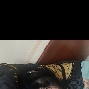 , 41 , -