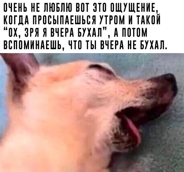 - 5  2025  09:00