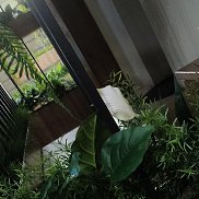 �����, 54 ����, ���������