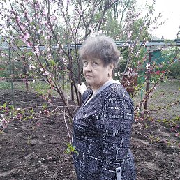 ���� �������, �������, 71 ��� - ��������� 30 ������ 2023