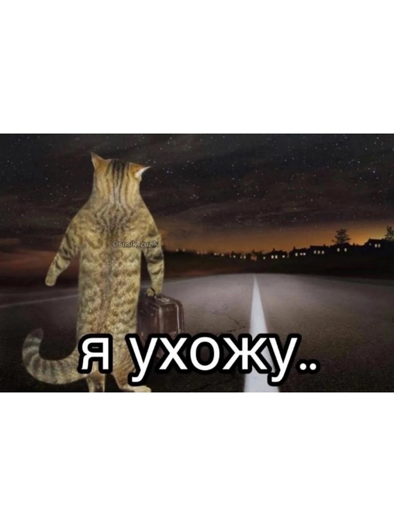 . - 22  2025  11:50 - 2
