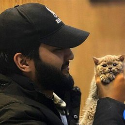 �����, �����, 28 ���