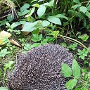 ���� �������, �����-���������, 55 ��� - ��������� 6 ������ 2026