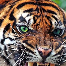 ���� ������, ������ �����, 49 ��� - ��������� 3 ������� 2023