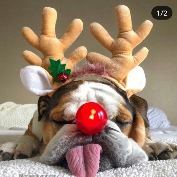 ����� ���������� �����. ���� ��� ���� - 3
