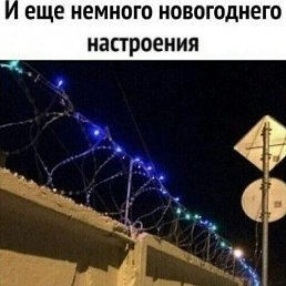 ���� ������ ������, ������-��-����, 47 ��� - ��������� 18 ������� 2025