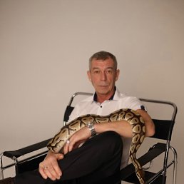 ������, 55 ���, ������-���